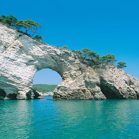 4 Stagioni 住宿加早餐酒店 佩斯基奇